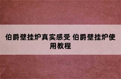 伯爵壁挂炉真实感受 伯爵壁挂炉使用教程